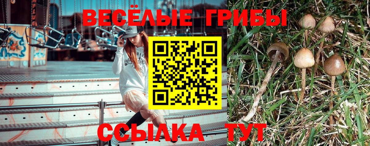 Нижневартовск  Псилоцибиновые грибы MAGIC MUSHROOMS  Псилоцибиновые грибы Magic Shrooms  Вход с VPN 