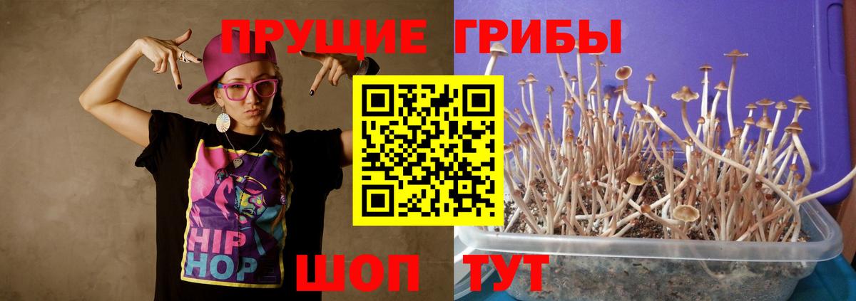 Псилоцибиновые грибы Cubensis Нижневартовск